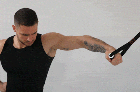 Build your upper body muscles with Tousains portable gym Hivegym.